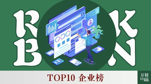 2021年中國人力資源服務行業(yè)TOP10企業(yè)榜 軟件外包服務領(lǐng)域洞察