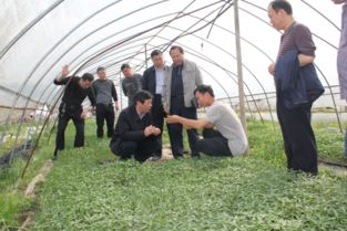 我校科技工作者上門服務現代農業企業