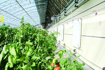 精準服務為企業發展注入科技動能