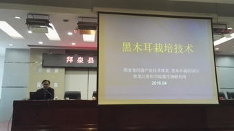 省農業院校科技推廣服務聯盟專家赴拜泉縣指導食用菌生產 備春耕科技支農活動系列報道之二