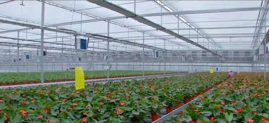 泰州:建設(shè)農(nóng)業(yè)強(qiáng)市 在推進(jìn)農(nóng)業(yè)現(xiàn)代化上走在前