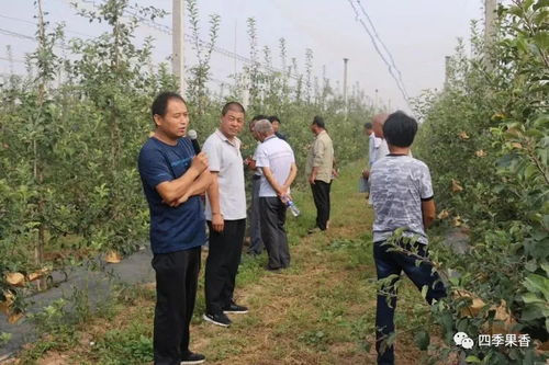 白水縣四季香農業科技服務公司肥水一體化推廣及中農液體肥示范園觀摩活動圓滿成功