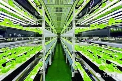 目測(cè)這個(gè)農(nóng)業(yè)項(xiàng)目要火,日本臺(tái)灣的科技巨頭都看好!