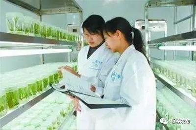 &ldquo;互聯(lián)網(wǎng)+農(nóng)業(yè)&rdquo;