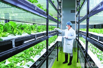 科技扮靚&ldquo;春耕圖&rdquo;