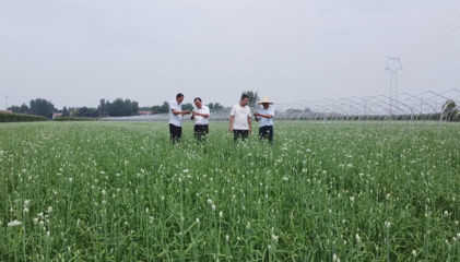 河南柘城:科技特派員送&ldquo;技&rdquo;下鄉(xiāng)