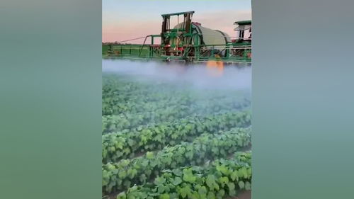 食品銷售,商超對接等農業相關的業務 并友情關聯相關部門投資農業基礎建設,合作一帶一路國際業務,公司的服務宗旨在于合作共贏