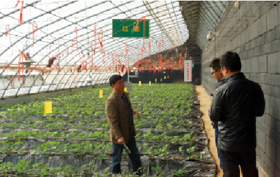 楊凌:中國農業標準化的樣板