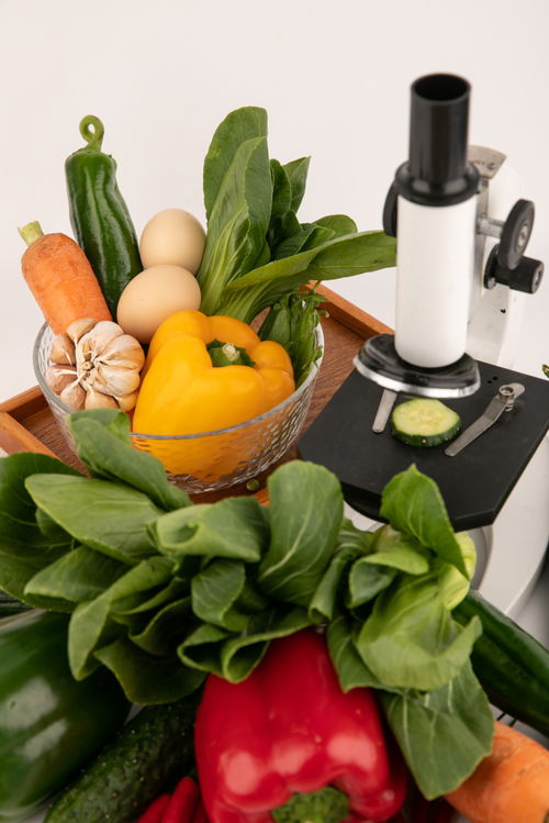 甜椒上海青食品安全農業科技食品培育攝影圖 插畫 下載至來源處